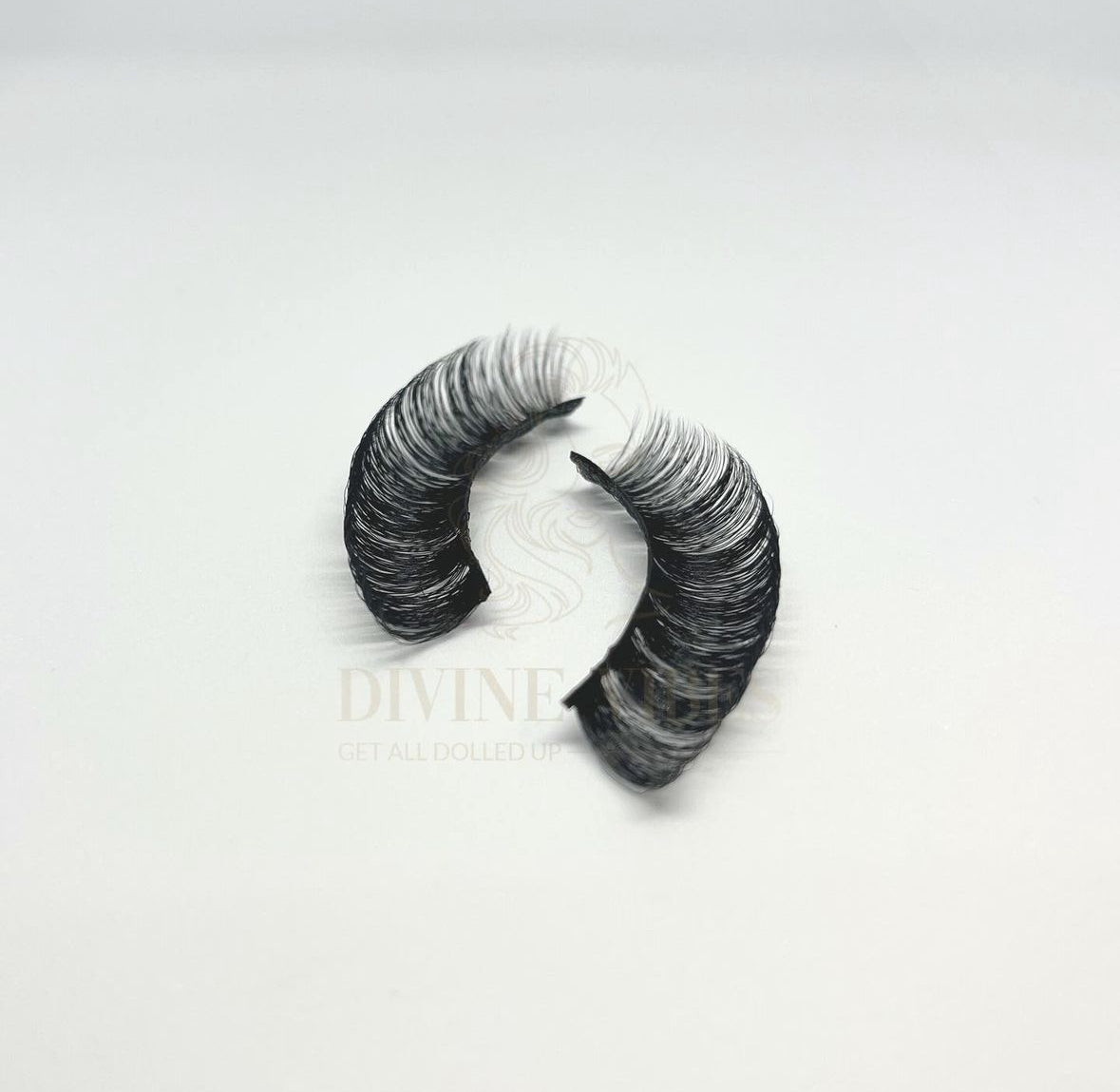 Dolly Striplashes